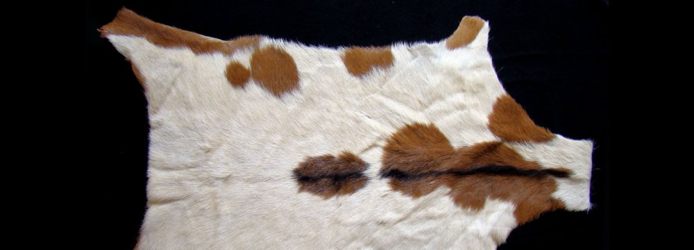 90% of Iranian Animal Hide Exported in Raw Form