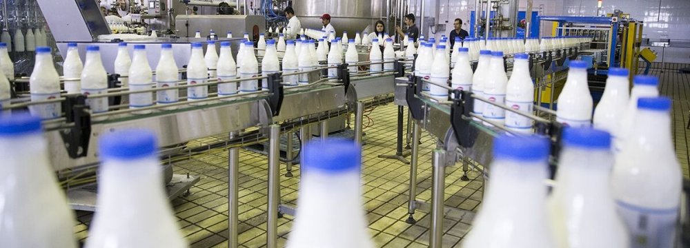 Iranian Per Capita Milk Consumption Less Than Third of Standard Level