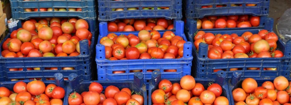 Duties to Be Imposed on Tomato Exports as of Dec. 22