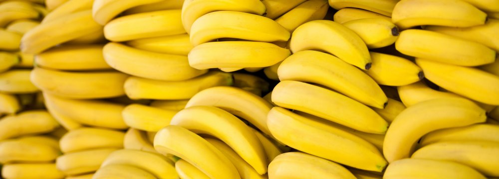 Bananas Imports Reach $210m in 9 Months