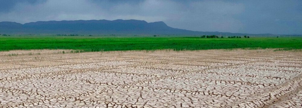 Economic Impacts of Drought on Agriculture Scrutinized