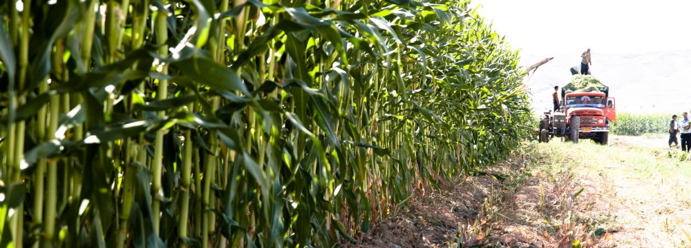 Agrifood Exports Hit $1.5 Billion 