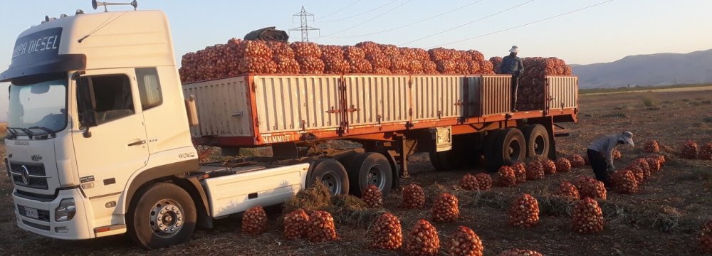Onion Exports Cross 240K Tons Worth $34 Million
