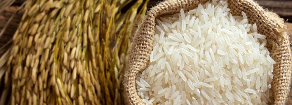 Monthly Rice Imports to Iran Top $90m