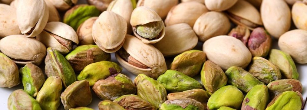 Pistachio Output, Exports Halved