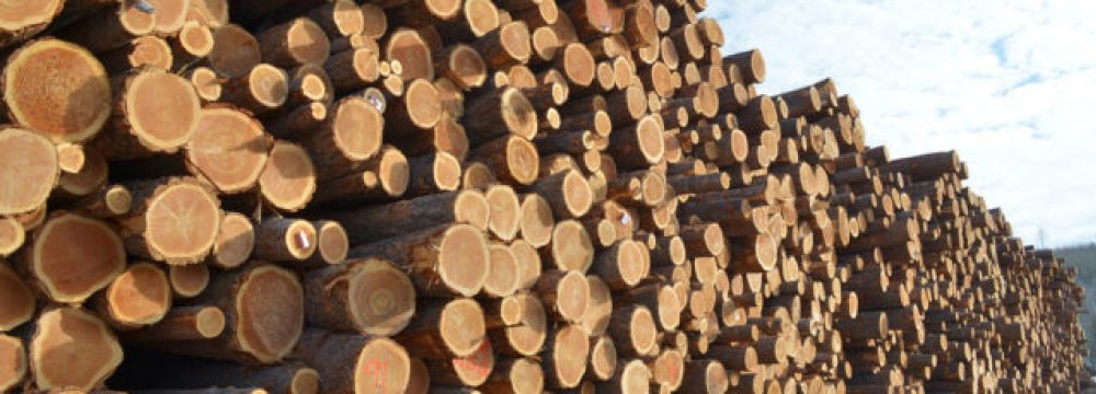 Timber Harvest Estimated to Reach 1.5 mcum by March