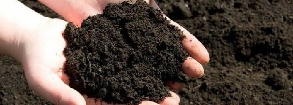 Iran to Export Bio-Fertilizers to Africa