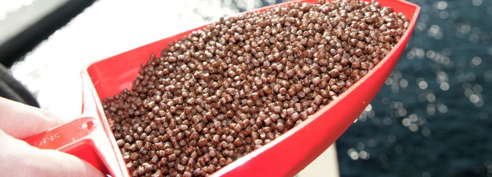 Fish Feed Export Ban Lifted