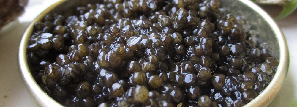 IRICA Disputes Fiscal 2020-21 Caviar Export Statistics