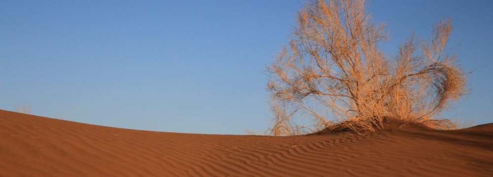 Varzaneh Desert in Photos