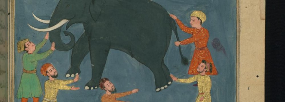 An illustration of “Elephant in the Dark”