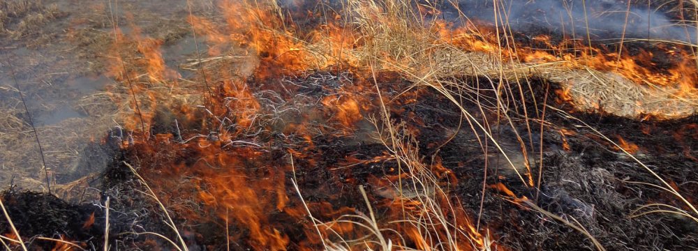 Fire Sweeps Through Hawizeh Marshes
