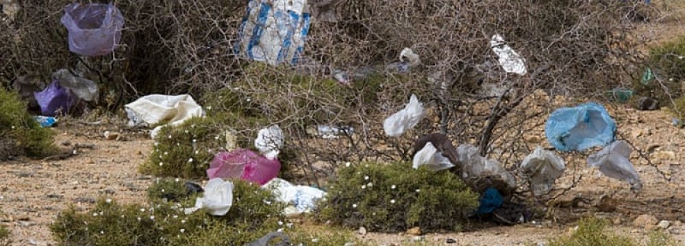 Plastic Waste, a Growing Menace 