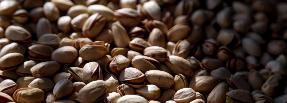 Pistachio Futures Market Opens in Iran