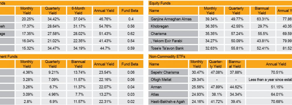 Investment Funds Capitalize on Stocks Rally