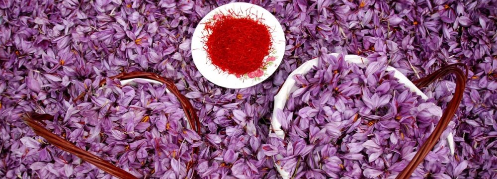 Iran Saffron Exports Grow 37% to Over $120 Million in 5 Months