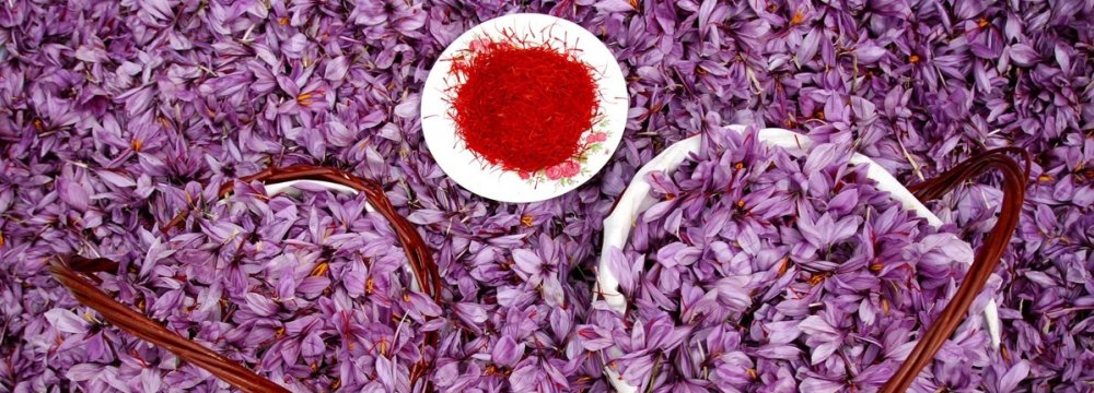 Iran Saffron Exports Earn Over $170 Million