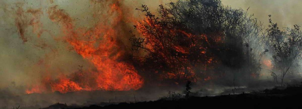 Smart Tech to Guard Nat’l Parks Against Wildfires