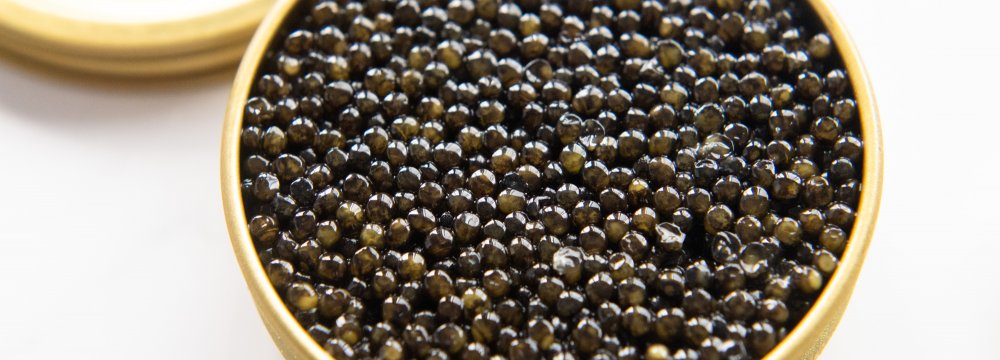 Caviar – Attilus Caviar
