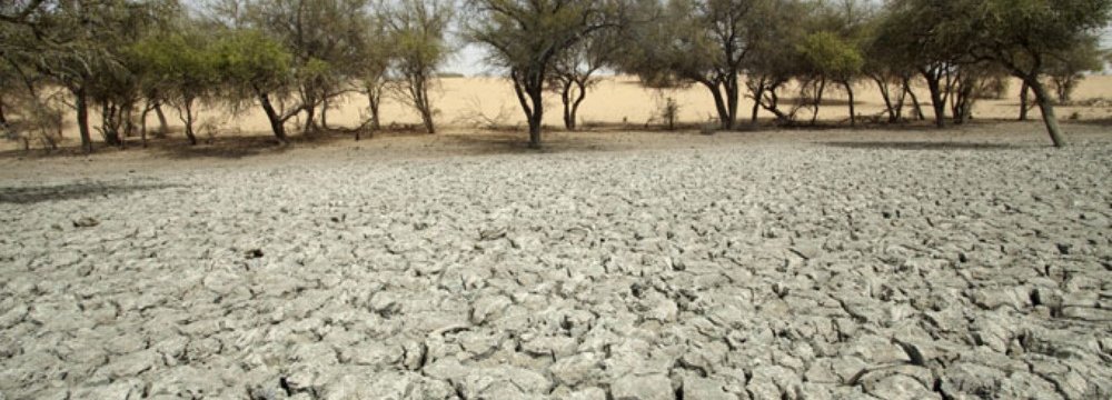 Fighting Desertification the African Way