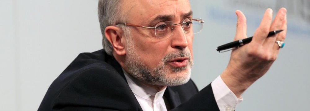 Salehi Highlights Gains of JCPOA