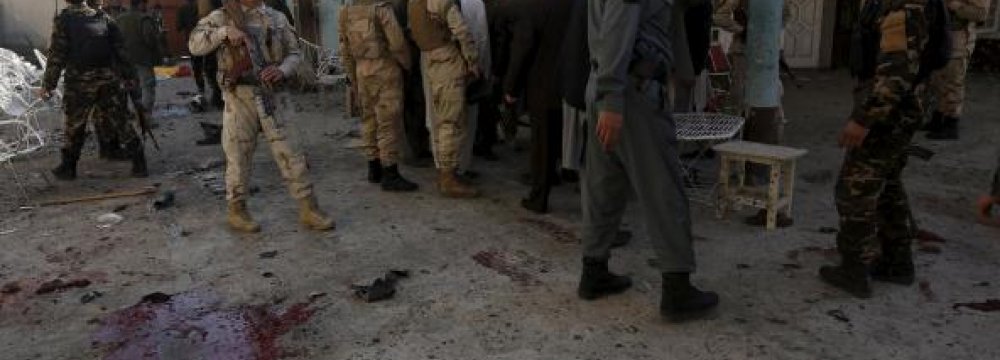 13 Killed in Afghan Suicide Bombing