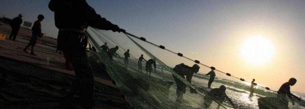 Israeli Navy Arrests Gaza Fishermen