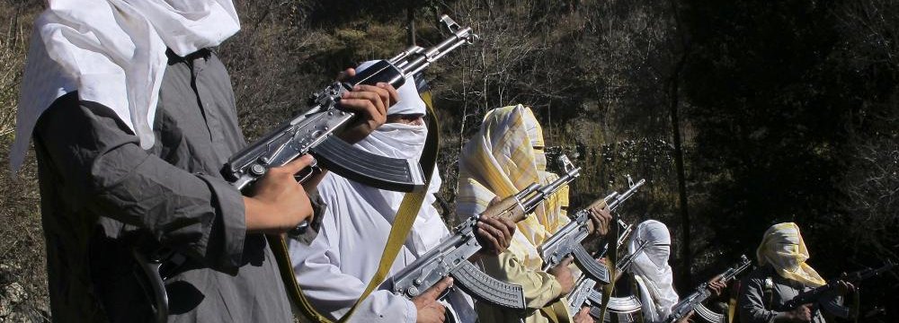 Pakistani Taliban Declare Allegiance to IS