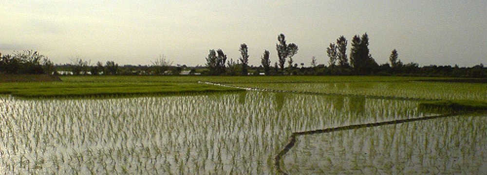 Agro Coop.  With Vietnam