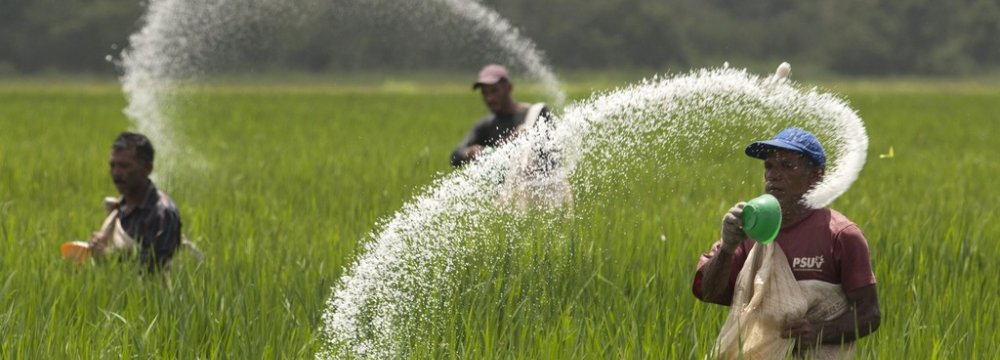 India’s Urea Imports From Iran Rise Ninefold 