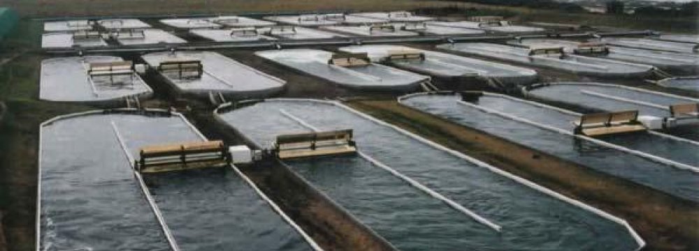 Aquaculture Project With France
