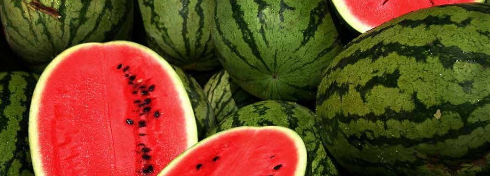 Watermelon Exporters Can Sue UAE