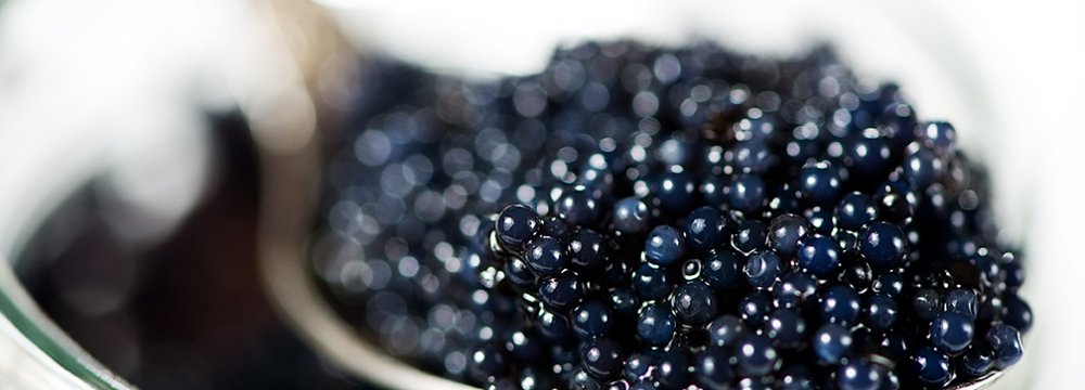 Caviar Price