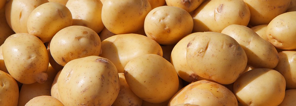 Potato Exports Rise, Water Levels Fall