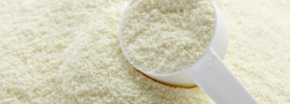 Powdered Milk Exports