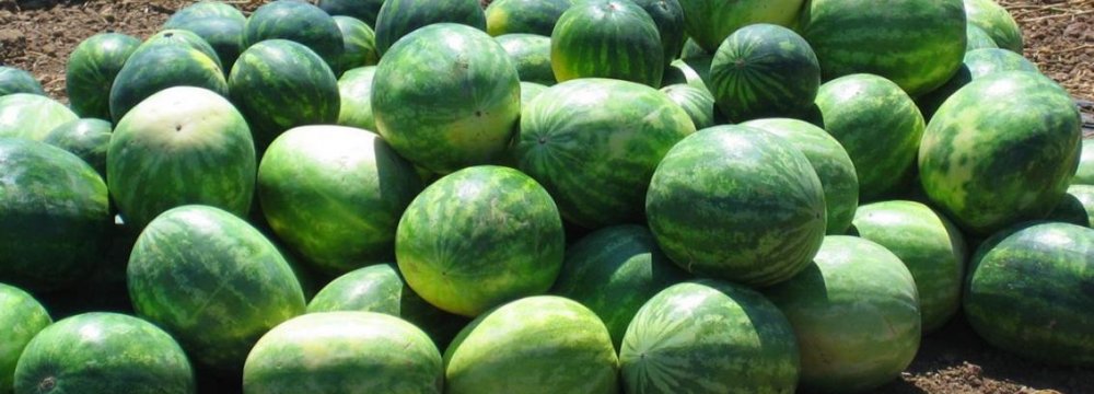 UAE Says Iranian Watermelon Safe