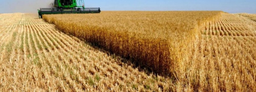 Agro Trade Deficit Down 