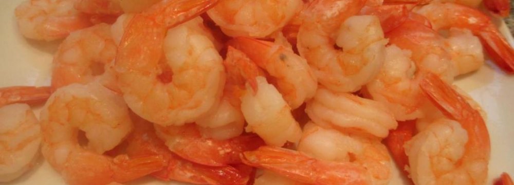 Italy to Import Shrimp