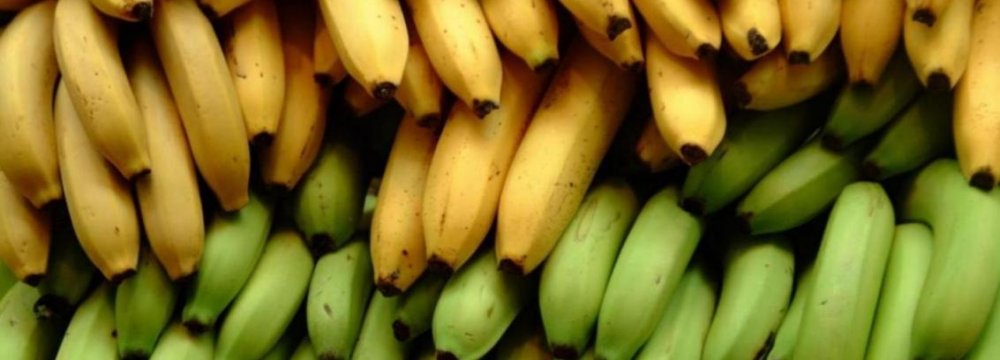 Banana Imports From Philippines