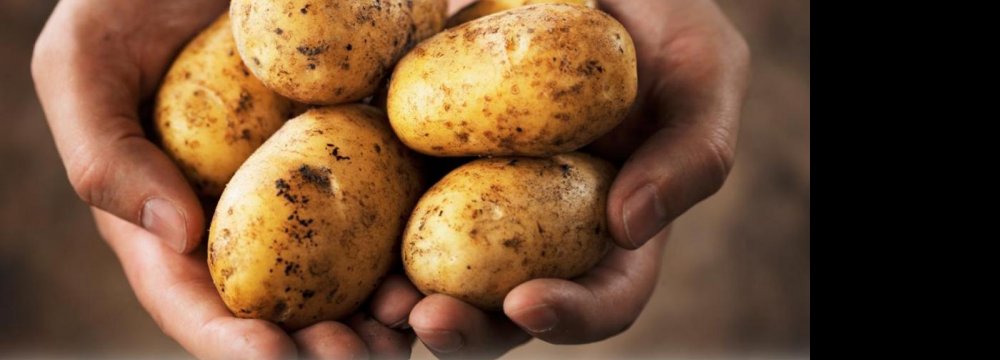 Requiem for Potatoes!