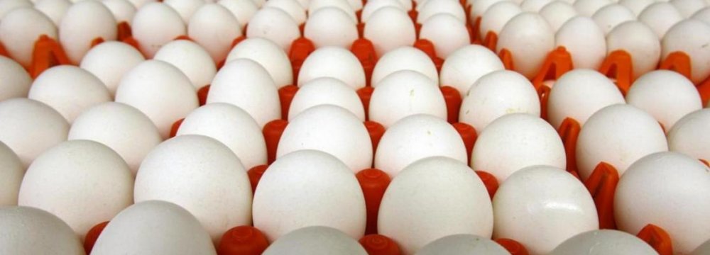Egg Exports to Iraq