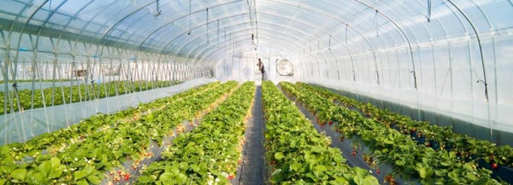 Greenhouses Running Out of Steam