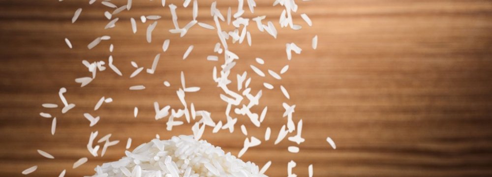 Rice Import Ban Remains