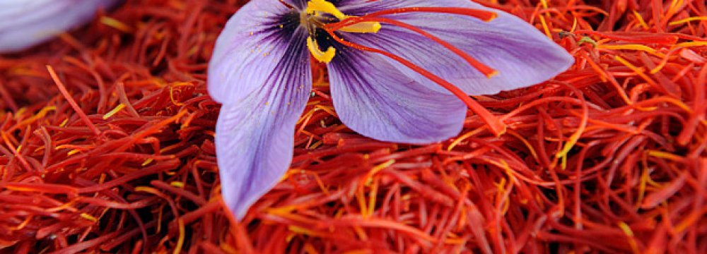 Saffron Exports Decline