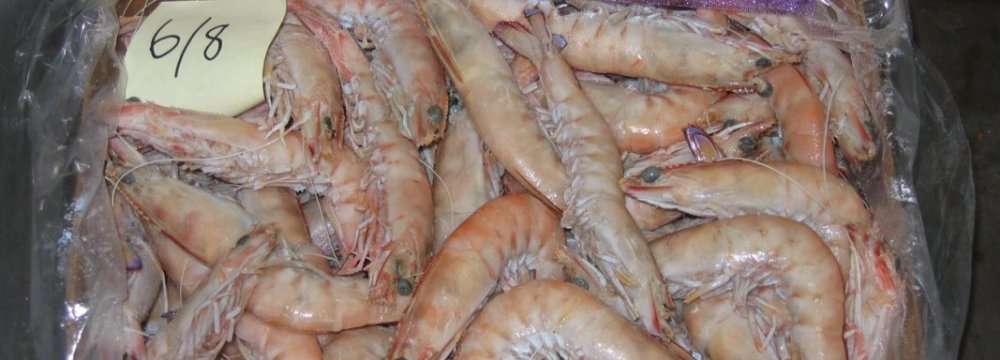 West Azarbaijan Prawn Exports