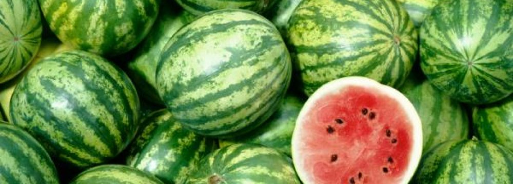 No Watermelon Exports to UAE