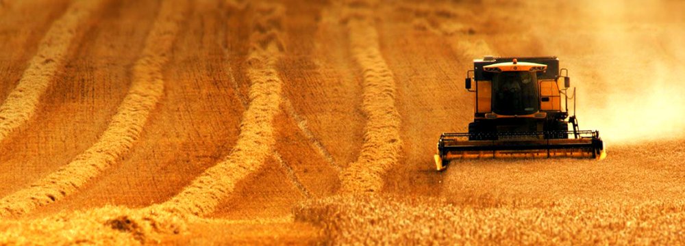 World Grain Traders  Lining Up for Business