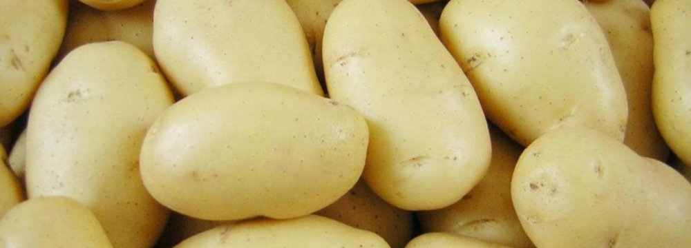 Ardabil Potato Exports