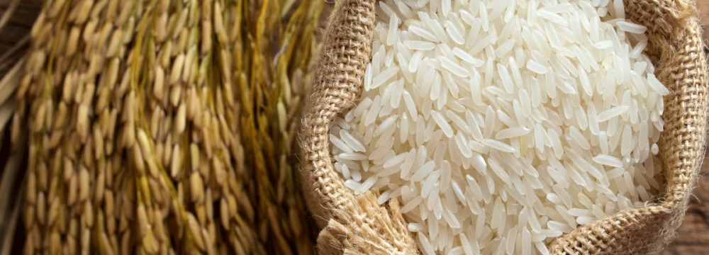 Gov’t to Allow Limited Rice Imports