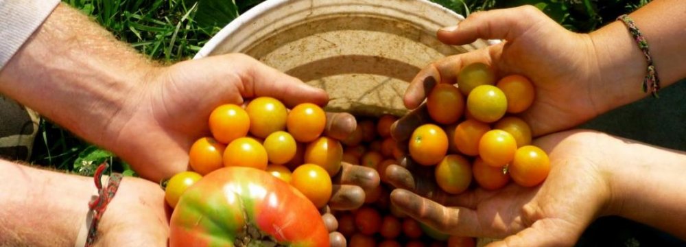 83,000 Hectares Under Organic Farming